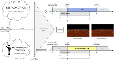 EEG Spectral Generators Involved in Motor Imagery: A swLORETA Study